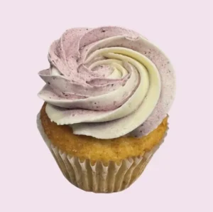 Blueberry Cheesecake